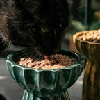 Duna Alta™ - Ciotola Rialzata per Cani e Gatti
