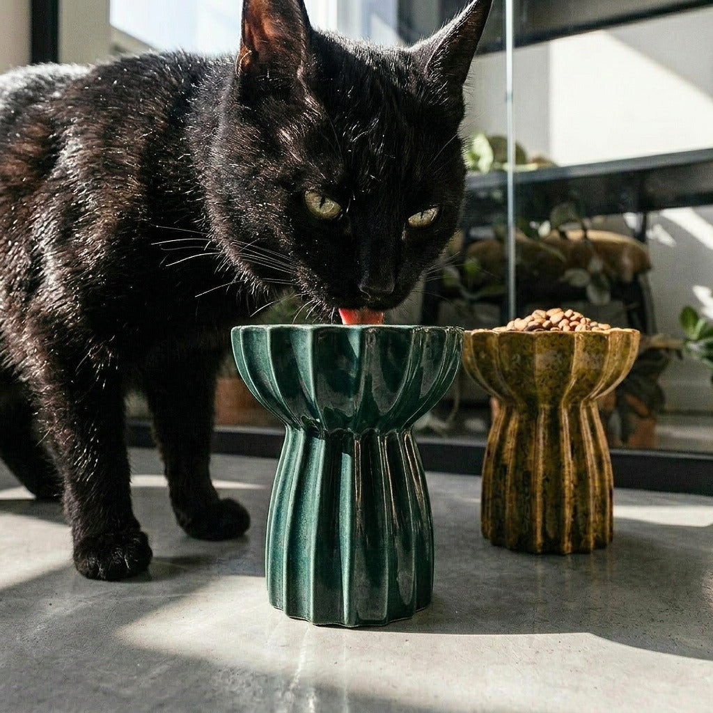 Duna Alta™ - Ciotola Rialzata per Cani e Gatti
